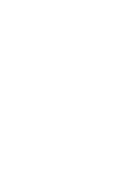Bullion Logo